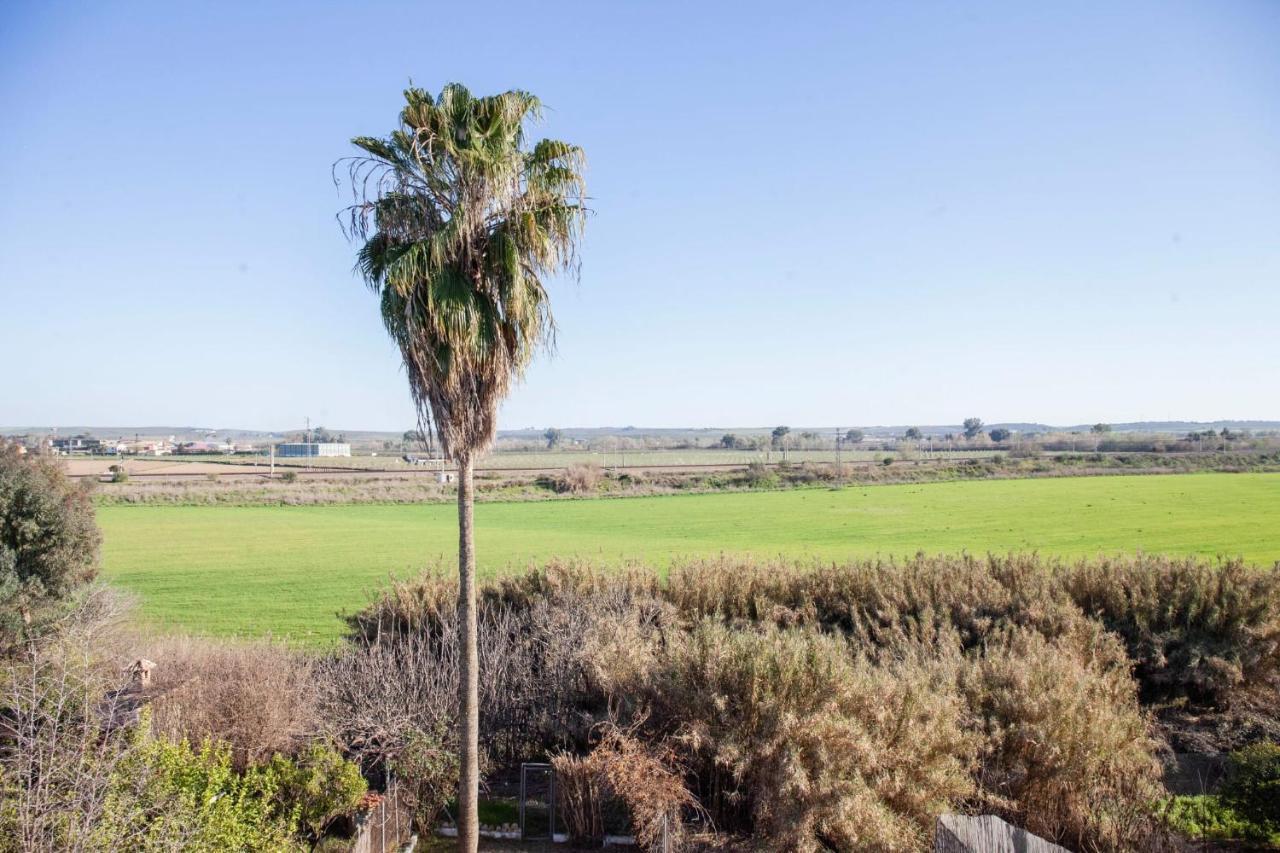Casa Rural La Palmera Almodóvar del Río Екстериор снимка