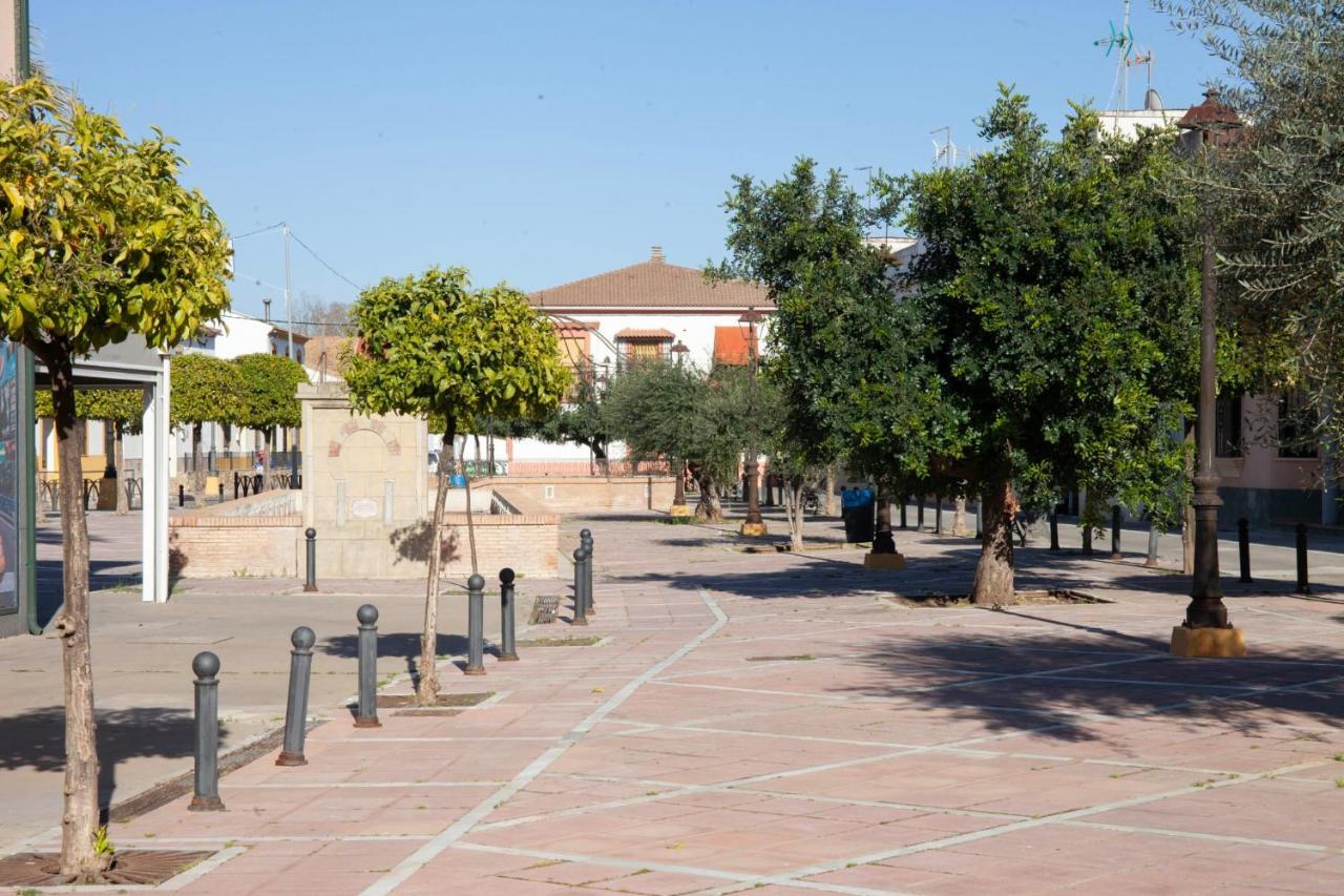 Casa Rural La Palmera Almodóvar del Río Екстериор снимка